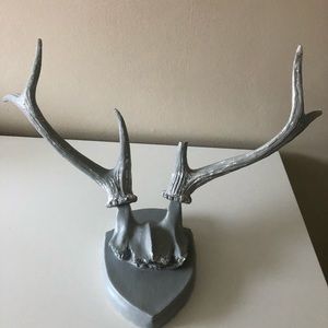 Deer horns